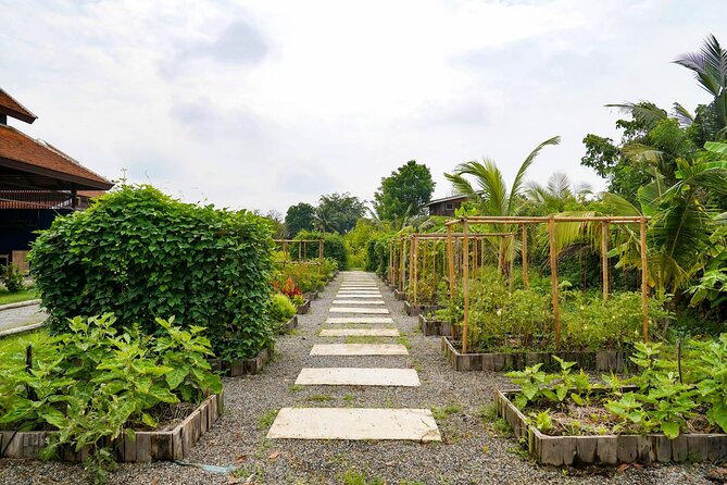 Full-Day Thai Cooking Class with Grandma - Market and Farm Tour - Should you book Grandma’s Home Cooking School?