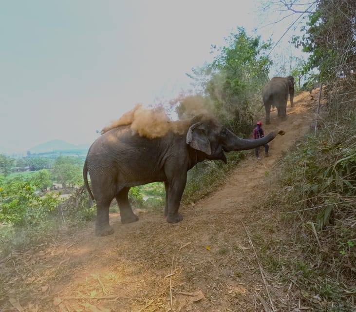 Full-day with CHIANGMAI ELEPHANT CARE and Sticky waterfall - Key Highlights You Should Care About