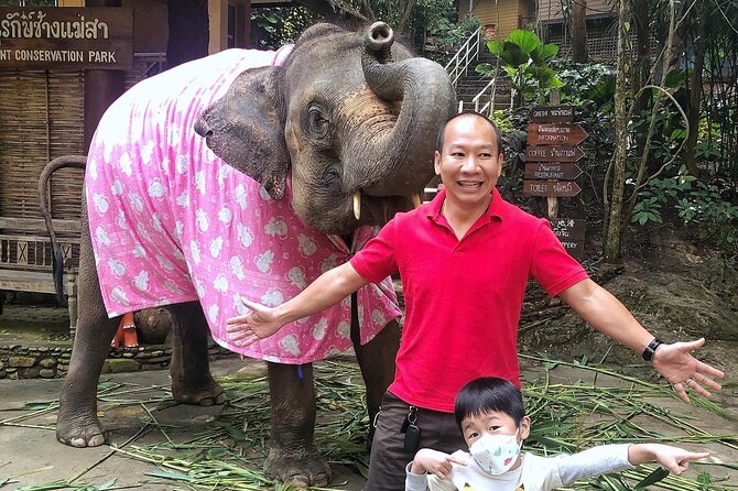 Half Day Car Hire with an English Speaking Driver in Chiang Mai - The English-speaking driver experience, from communication to confidence