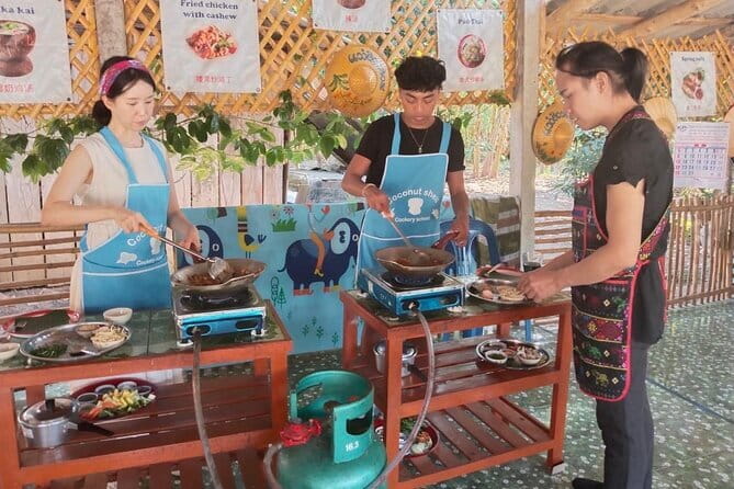 Half Day Chiang Mai Cooking Class and Market Taste Tour - Half-day Chiang Mai food class that actually fits your schedule