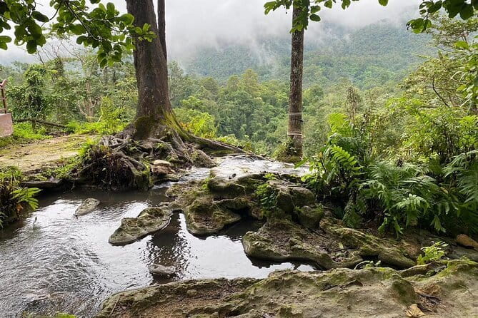 Half Day Chiang Mai Sticky Waterfall and Hotel Transfer - Why Bua Tong Sticky Waterfalls feel different from other Chiang Mai day trips