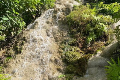 Half Day Chiang Mai Sticky Waterfall and Hotel Transfer