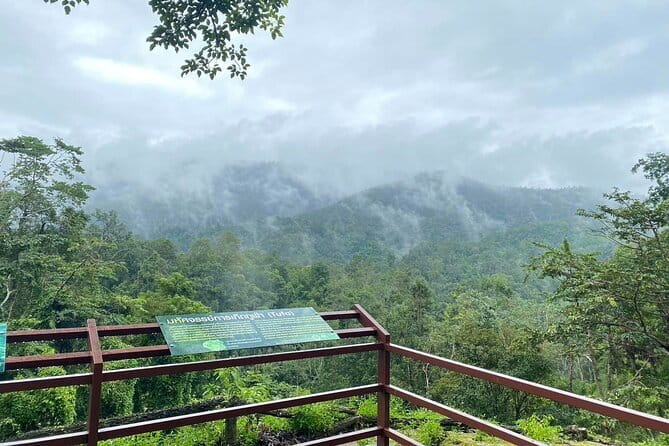 Half Day Chiang Mai Sticky Waterfall and Hotel Transfer - What to watch for while you climb (and how to enjoy it more)