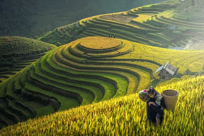 Half Day Doi Suthep & Hmong Hill Tribe - Chiang Mai Pickup, Timing, and What 5 Hours Really Feels Like