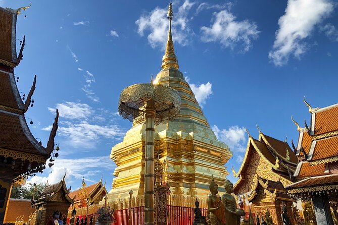 Half Day Doi Suthep Temple and Palad Temple (Private tour) - Wat Pha Lat: waterfall, forest paths, and city views with a lighter feel