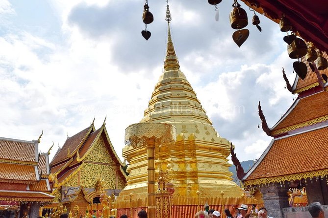 Half Day Doi Suthep Temple and Palad Temple (Private tour) - What to plan for during your 3 to 4 hours
