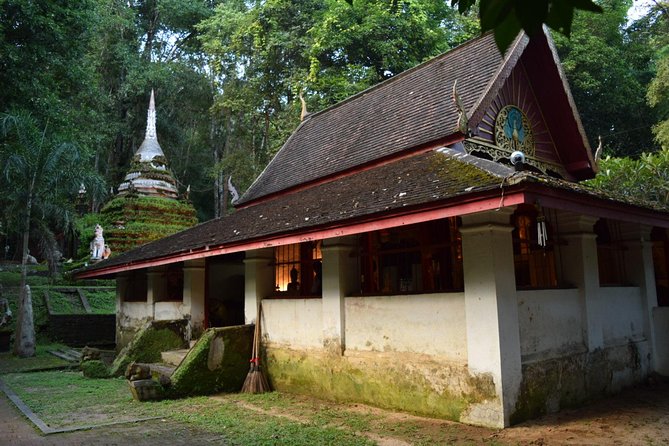Half Day Doi Suthep Temple and Palad Temple (Private tour) - Wat Phra That Doi Suthep: pilgrimage pagoda and the 306-step approach