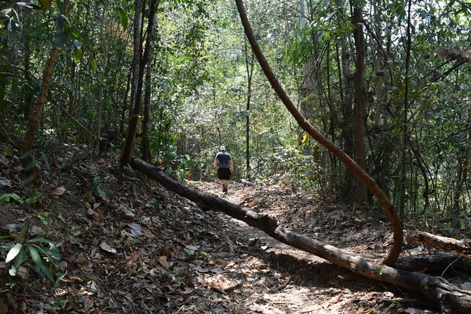 Half Day Doi Suthep Temple and short trekking on monk trail (Private Tour) - Wat Phra That Doi Suthep: Pagoda, pilgrimage energy, and two ways up
