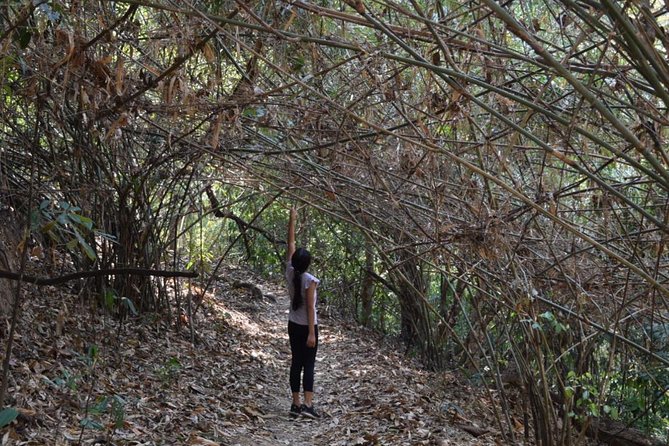 Half Day Doi Suthep Temple and short trekking on monk trail (Private Tour) - Wat Pha Lat: Not the most famous building, but the grounds are the point