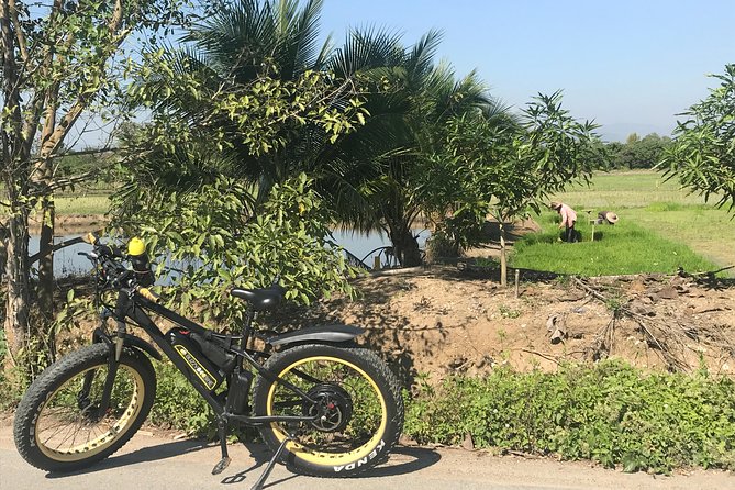 Half-day E-bike Countryside and rice paddies (flat land, GUIDED) - Price and value for a guided e-bike day