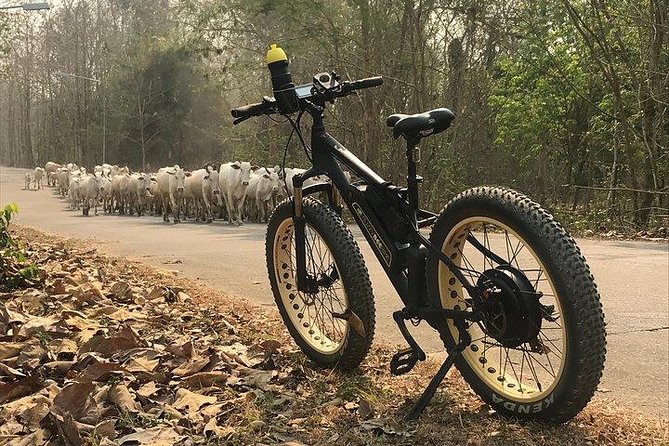 Half-day E-bike Nam Phrae (hilly, fully paved roads, GUIDED) - Wat Ton Kwen: a Lanna-style temple stop to anchor the morning