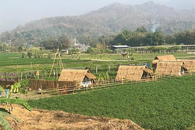 Half-day E-bike Nam Phrae (hilly, fully paved roads, GUIDED) - Price and logistics: where the value really comes from