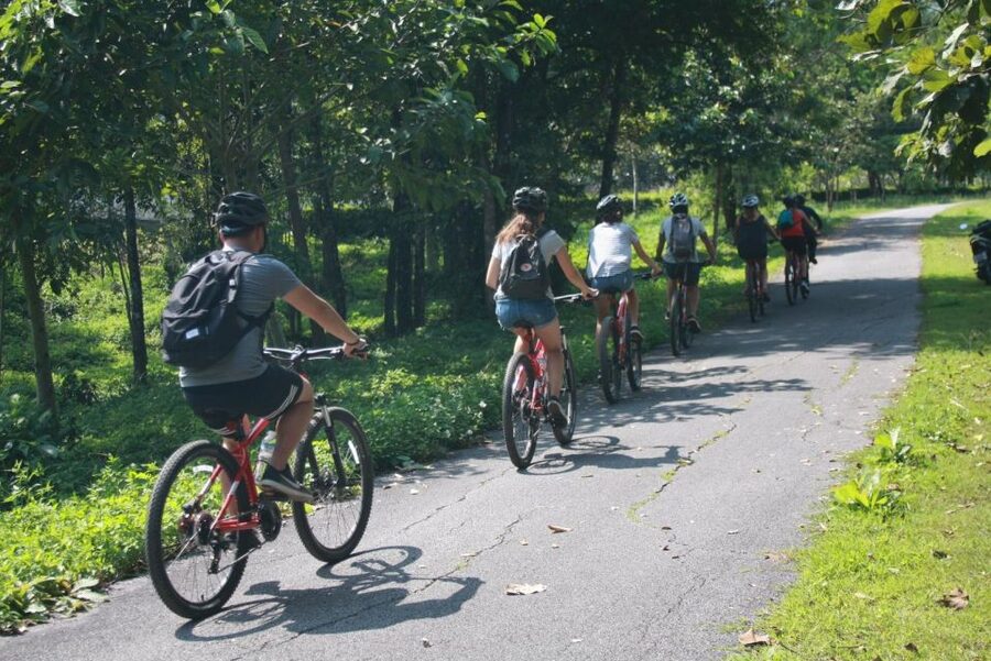 Half Day Historical & Cultural Experience Bicycle Tour - Fitness, comfort, and what to bring (so the ride feels good)