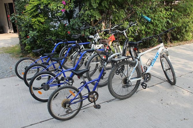 Half-Day Lanna Countryside Cycling Tour in Chiang Mai - Grand Canyon Chiang Mai viewpoint stop: a quick scenic break