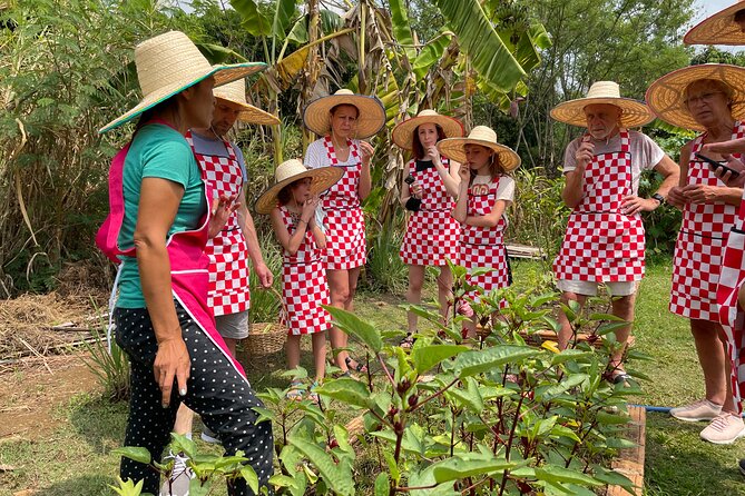 Half-Day Thai Cooking Class at Organic Farm in Chiang Mai - Key highlights to look forward to