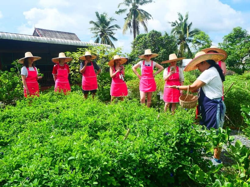 Half-Day Thai Cooking Class on a Local Farm Near Chiang Mai - What You Really Get For $28: Value That Feels Fair