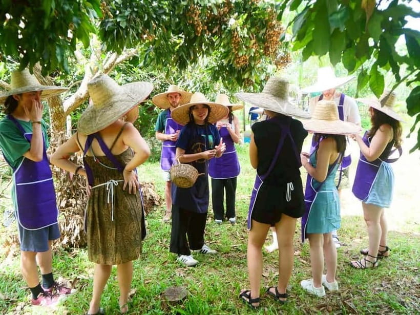 Half-Day Thai Cooking Class on a Local Farm Near Chiang Mai - Organic Farm Walk And Herb Garden Tips You Can Use Back Home