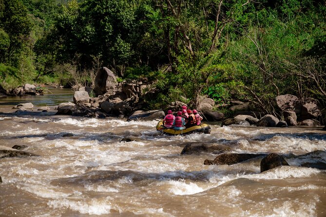 Half Day Visit and Whitewater Rafting Adventure - Making a herb ball, then slowing down with the herd
