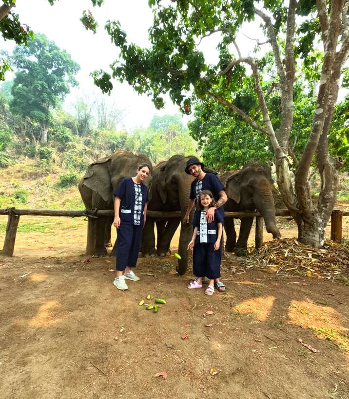 Half-day with CHIANGMAI ELEPHANT CARE program (12pm-6pm.) - Hotel Pickup and the Maeteang Drive That Sets the Tone
