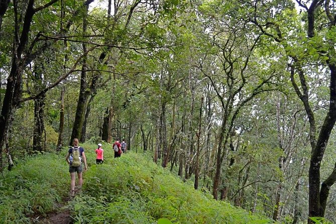 High Mountain Day Trek - Key takeaways before you go