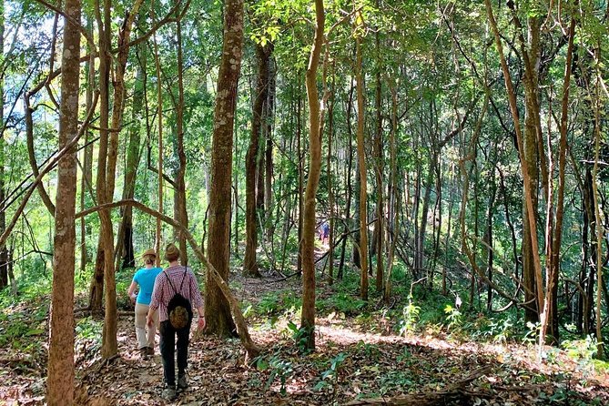 High Mountain Day Trek - Lunch at a rustic homestay: Thai food with a mountain setting