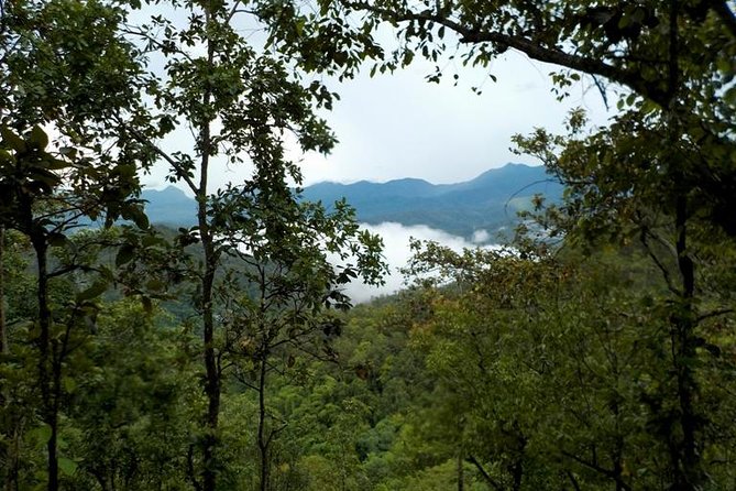 High Mountain Day Trek - Village visit and tea or coffee: slow down and meet local life