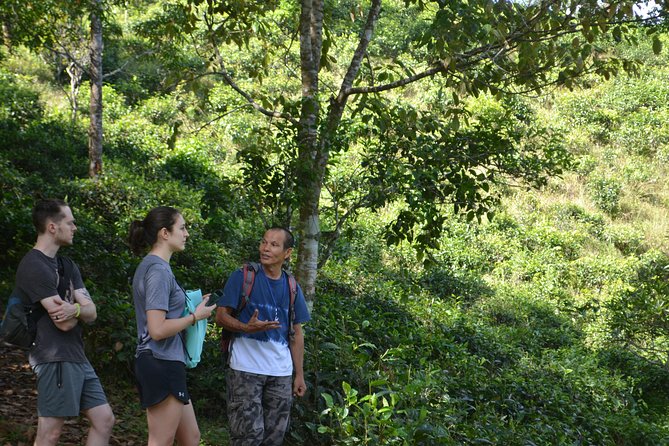 High Mountain Day Trek - Timing, pickup, and finishing back at the meeting point