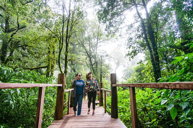 Hike to the Highest Spot + Waterfall in Chiang Mai - Practical tips for a smoother Doi Inthanon and waterfall day