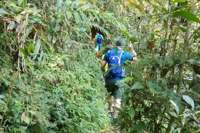 Hiking and Zipline Private Tour from Chiang Mai +Karen Village - Private Chiang Mai Jungle Hike and Zipline, Plus Karen Culture