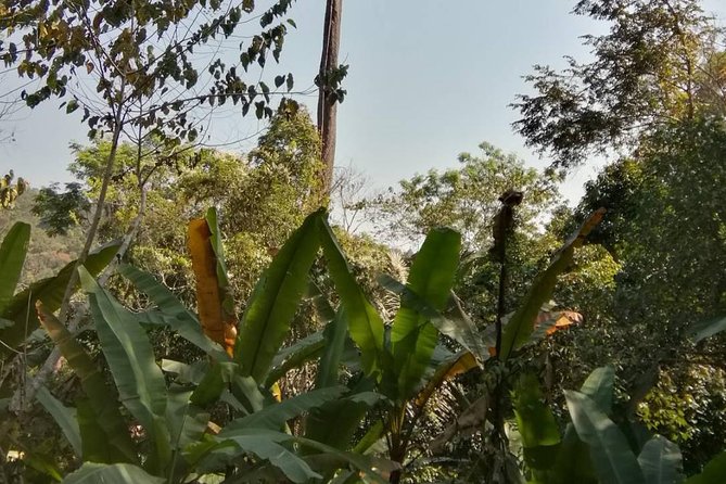Hiking and Zipline Private Tour from Chiang Mai +Karen Village - Mae Sa Waterfall and the Hiking Time You Should Expect