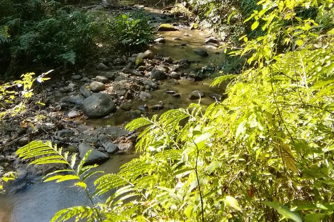 Hiking and Zipline Private Tour from Chiang Mai +Karen Village - Your Guide: Why Ek and Eak Zaa Make the Difference