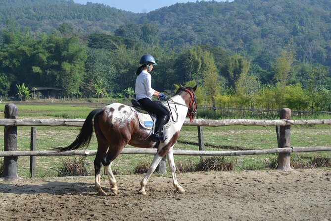 Horse Lesson+Riding+Wat Tonkwen wooden temple.Chiangmai - Key things to know before you go