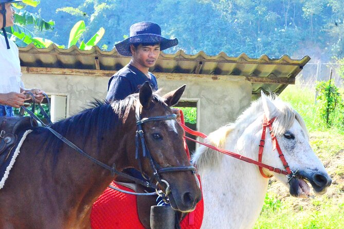 Horse Lesson+Riding+Wat Tonkwen wooden temple.Chiangmai - Hotel pickup at 8:30, and a small-group rhythm