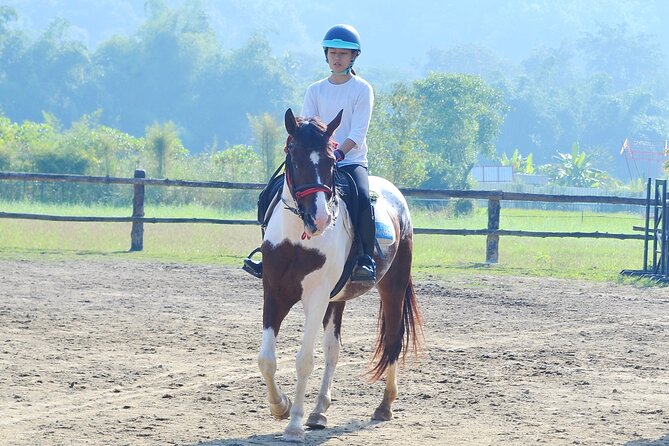Horse Lesson+Riding+Wat Tonkwen wooden temple.Chiangmai - Who should book this horse lesson and Wat Ton Kwen stop