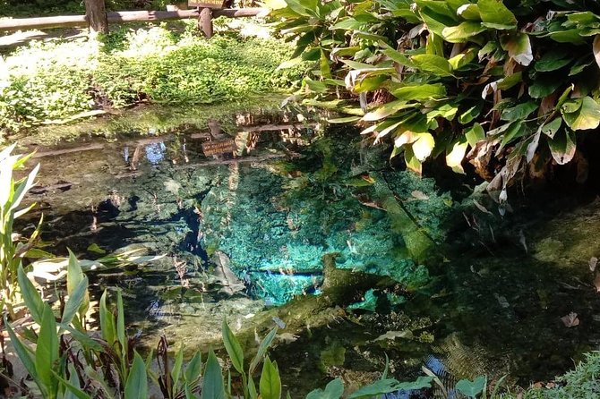 Hot! Doisuthep Temple+Wat Palad+Sticky waterfall - Morning start: what 8:00 am means for your schedule