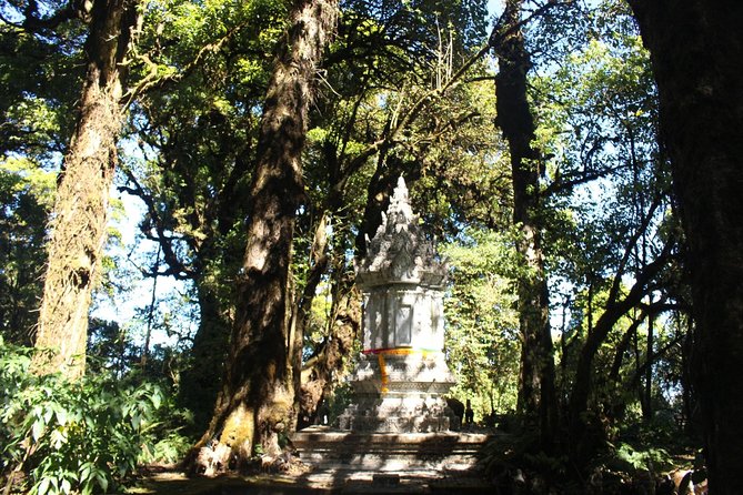 Inthanon Day Trip from Chiang Mai with Lunch - Group or Private - Twin Pagodas and gardens: the spiritual high point with big views