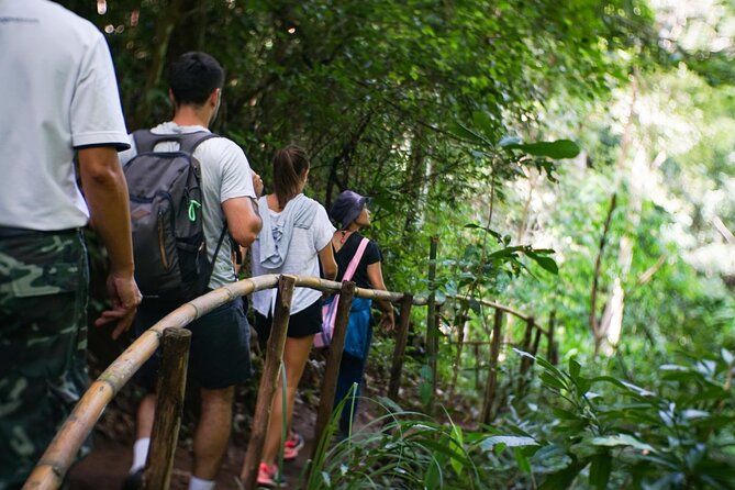 Inthanon National Park Tour with Soft Hike at Pha Dok Siew Trail - Inthanon National Park, in real-world time