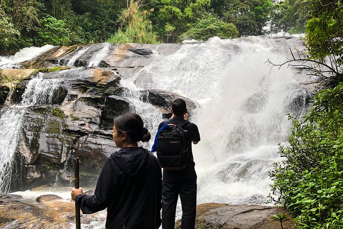 Inthanon National Park Tour with Soft Hike at Pha Dok Siew Trail - Doi Inthanon stop: the highest-mountain start