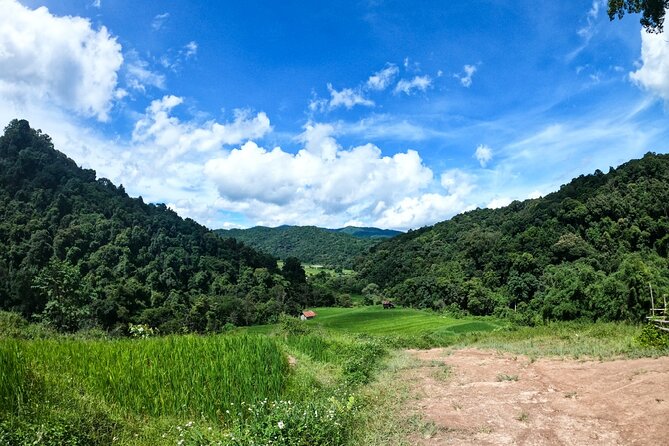 Inthanon National Park Tour with Soft Hike at Pha Dok Siew Trail - Pagodas honoring the King and Queen: culture with a purpose