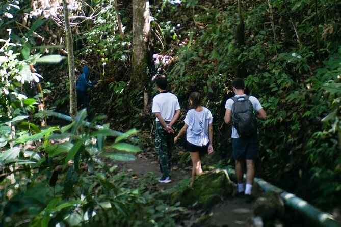 Inthanon National Park Tour with Soft Hike at Pha Dok Siew Trail - Pha Dok Siew trail and the waterfall hike: the main payoff