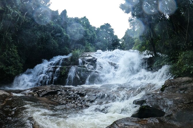 Inthanon National Park Tour with Soft Hike at Pha Dok Siew Trail - Karen hill tribe village and coffee at Ban Mae Klang Luang