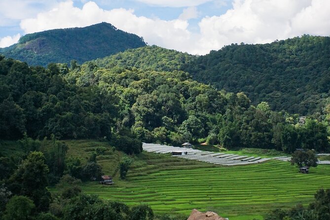 Inthanon National Park Tour with Soft Hike at Pha Dok Siew Trail - Hotel pickup and a tight schedule that actually works