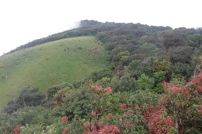 Inthanon Small-Group with Kew Mae Pan Trail from Chiang Mai include Lunch - Wachirathan waterfall and Mae Klang Luang: scenery plus village culture