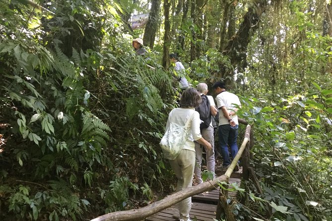 Inthanon Small-Group with Kew Mae Pan Trail from Chiang Mai include Lunch - Royal Agricultural Project: where the included lunch fits the story