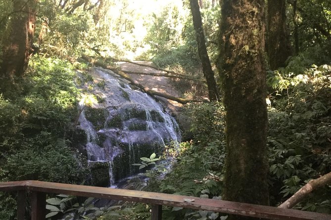 Inthanon Small-Group with Kew Mae Pan Trail from Chiang Mai include Lunch - Kew Mae Pan Nature Trail: rain forest to rhododendron, with bird names