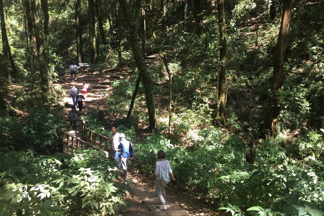 Inthanon Small-Group with Kew Mae Pan Trail from Chiang Mai include Lunch - Hotel pickup and the 8AM start: how the day actually moves
