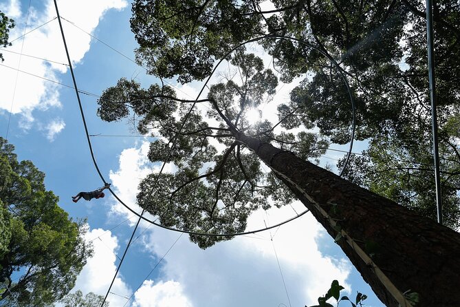 Jungle Flight Zipline Adventure From Chiang Mai - Who should book this zipline day?