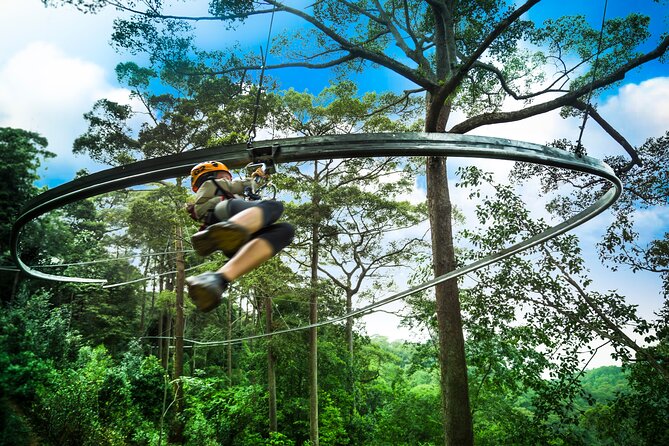 Jungle Flight Zipline Roller Coaster - Key Things You Will Notice