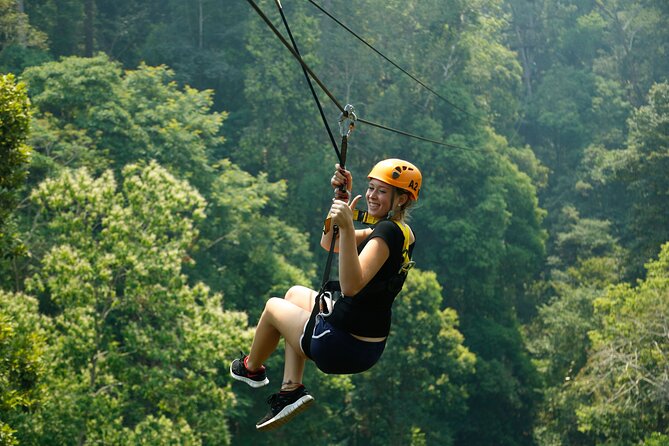 Jungle Flight Zipline Roller Coaster - The jungle roller coaster finale: why the last ride hits differently