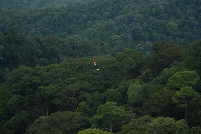 Jungle Flight Zipline Roller Coaster - Who should book this zipline day, and who should think twice